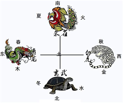 动物五行|「万物类象」金、水、木、火、土五行取象